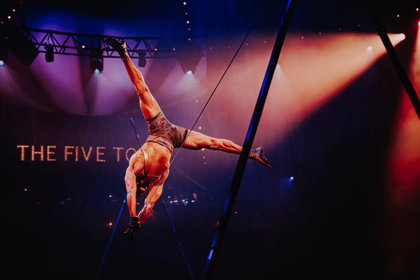 An aerialist hangs upside down from a rope in pink light, Come Alive!, Empress Museum