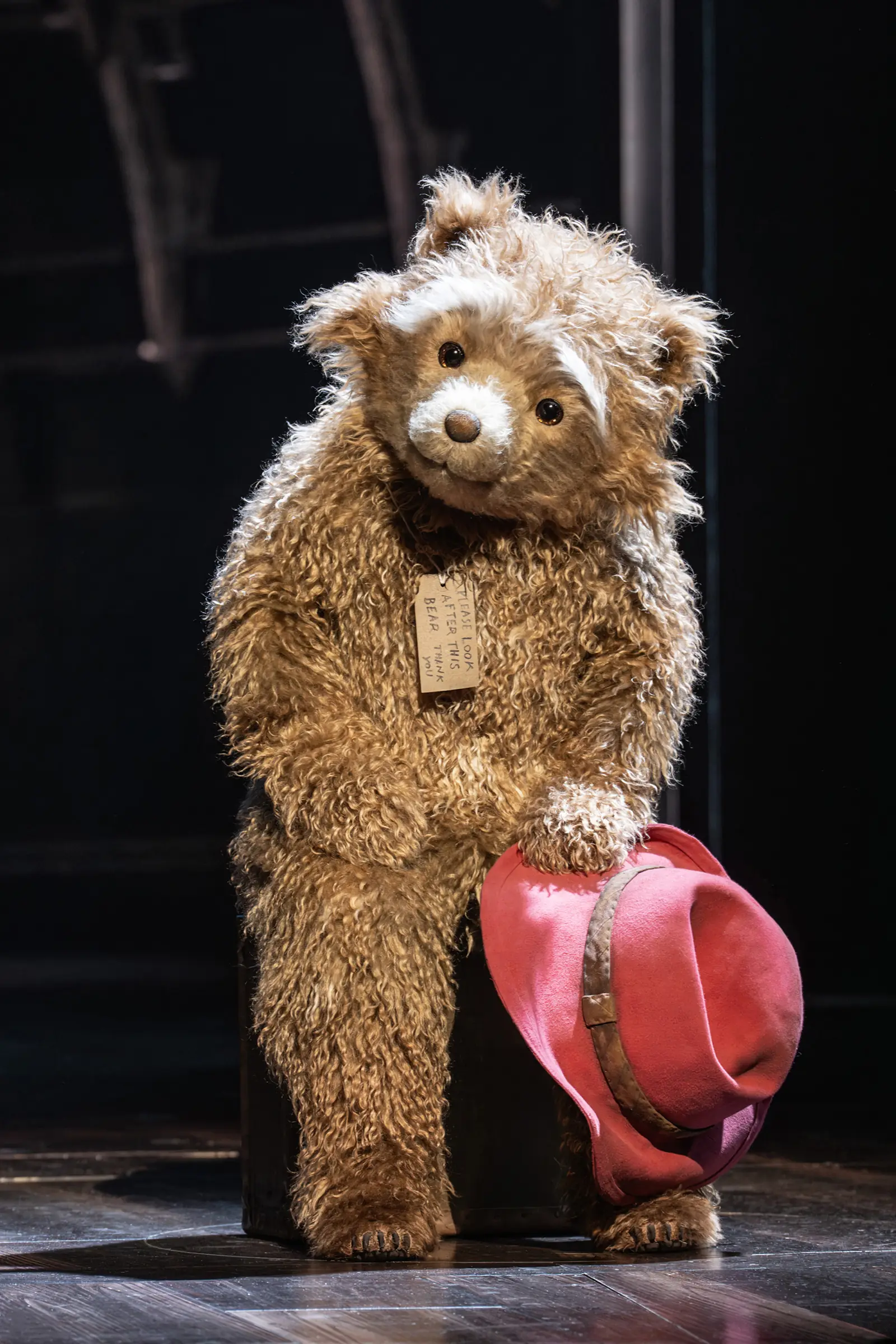 Paddington sits on his suitcase, red hat in paw, Paddington The Musical, Savoy Theatre